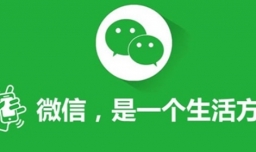 微信好友怎么一键恢复？