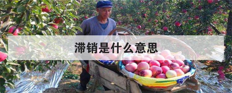 滞销是什么意思