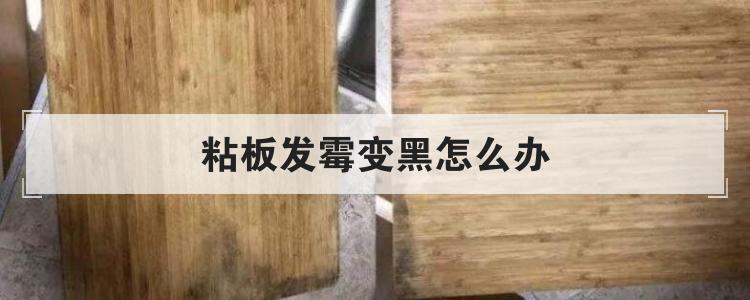 粘板发霉变黑怎么办