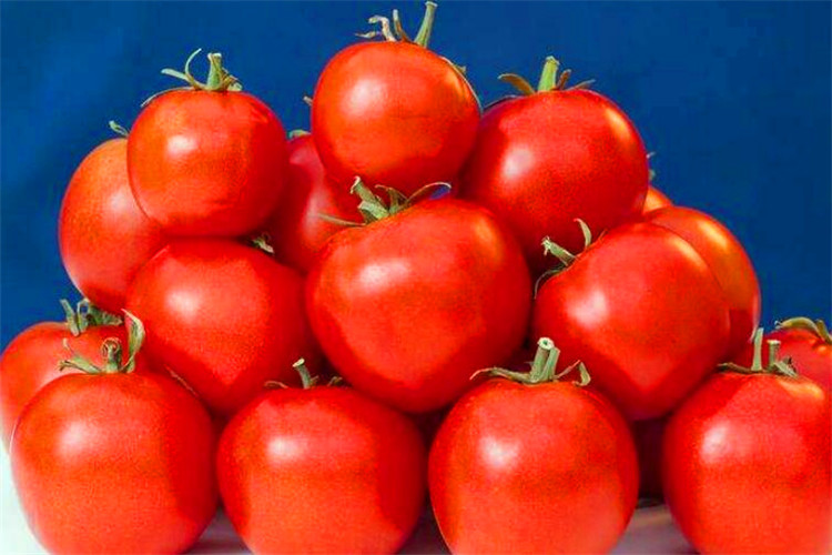 怎么把手变白变嫩变细