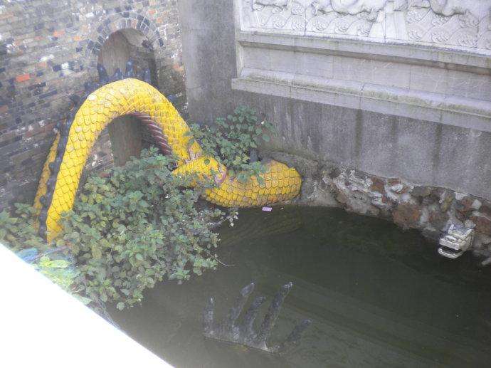 神龙见首不见尾是什么生肖