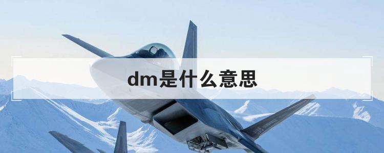 dm是什么意思