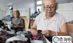 老年人就业不算劳动者算什么