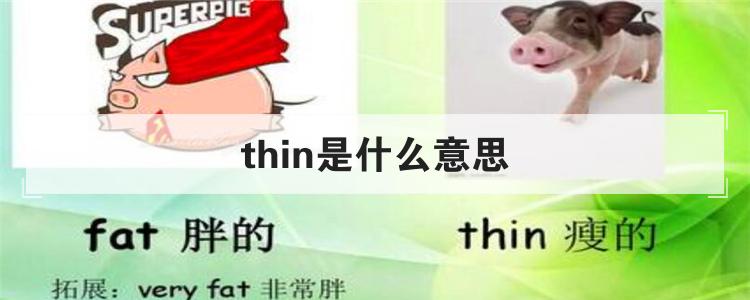 thin是什么意思
