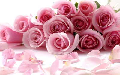 99朵玫瑰代表什么意思