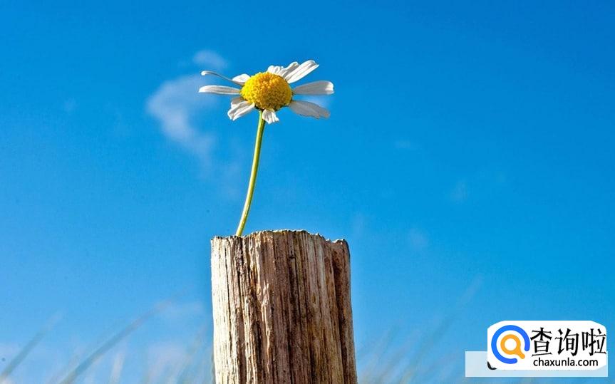 如何让自己做到永远单身？