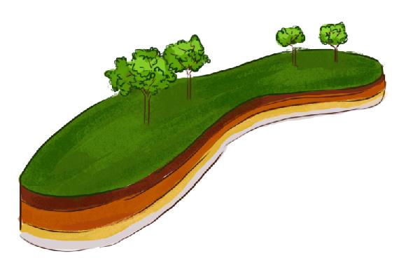 土壤分为哪几层