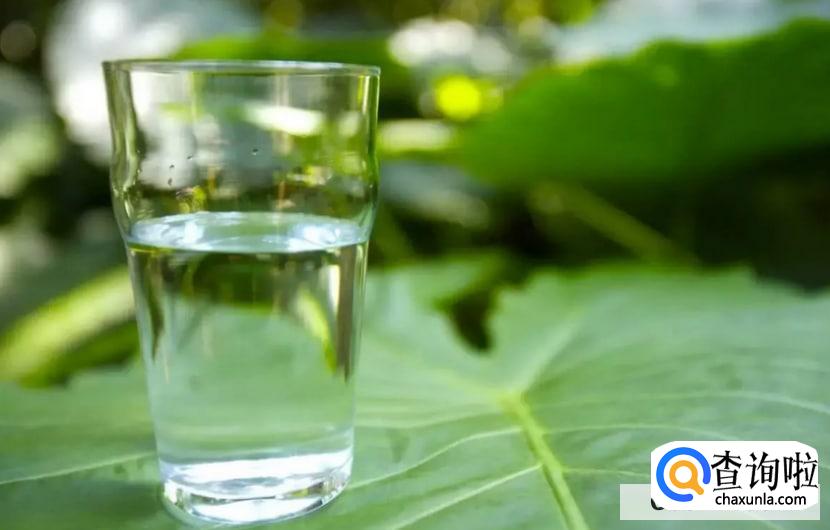 早上喝水该喝什么水,又有什么作用呢?