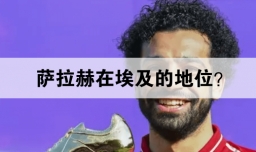 萨拉赫在埃及的地位？