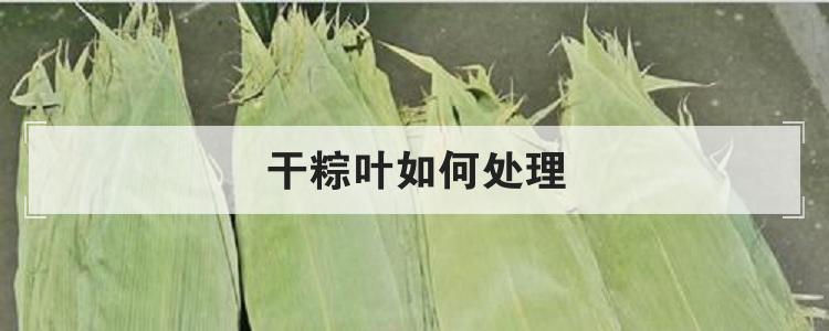 干粽叶如何处理