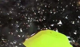 珍珠奶茶火锅怎么做,珍珠奶茶的做法及配料