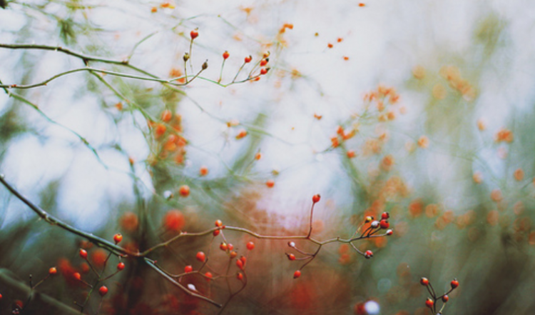 脑筋急转弯大全