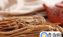 当归选购--怎样的当归才是好当归