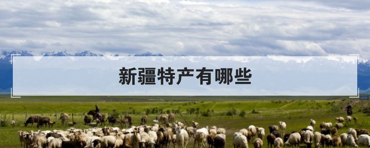 新疆特产有哪些