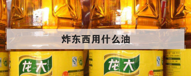 炸东西用什么油