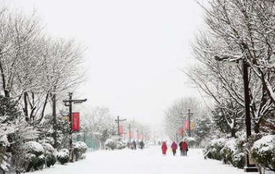 冬天下大雪出门应该做好哪些防护措施？