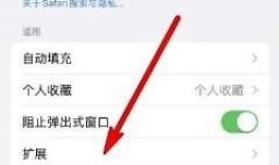 iphone13手机浏览器如何设置扩展