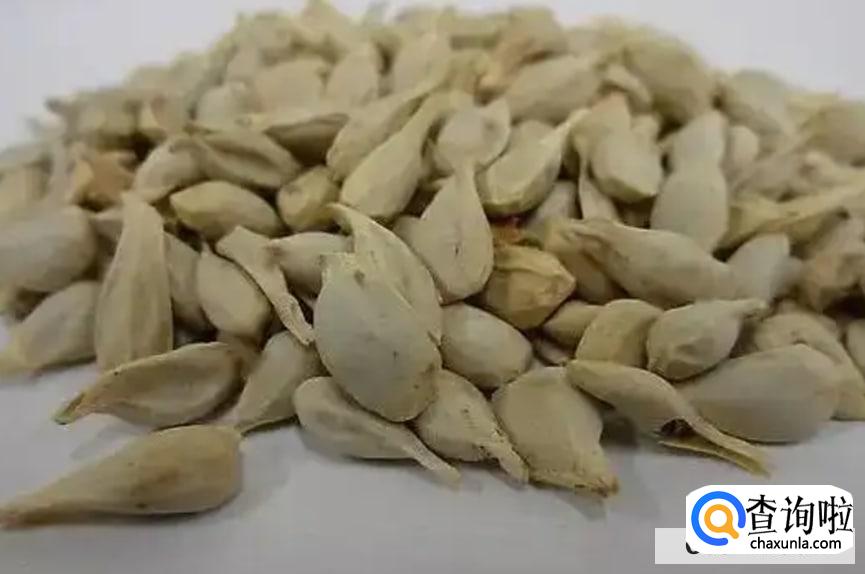 橘子吃完这些东西不要丢