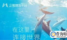 企鹅号怎么赚钱