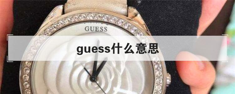 guess什么意思