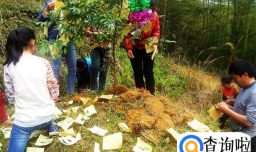 清明节挂青可以放鞭炮吗