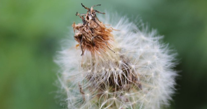 见微知著什么意思