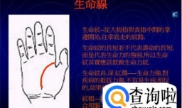 教你怎样看手相