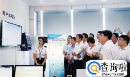 客户的类型分类