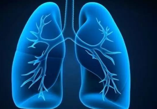 五脏六腑指的是什么