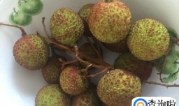 荔枝的注意事项