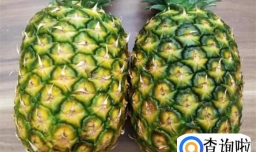 菠萝和凤梨有哪些区别（叶子）