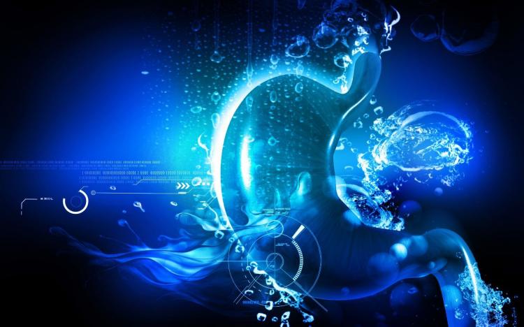 人的体液中酸性最强的是什么