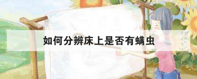 如何分辨床上是否有螨虫