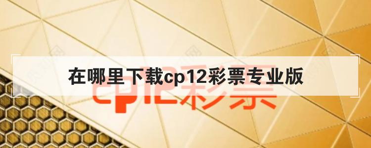 在哪里下载cp12彩票专业版br