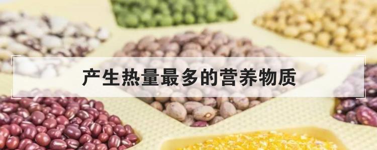 产生热量最多的营养物质