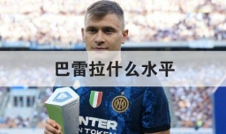 巴雷拉什么水平