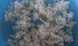 汤饭如何做好吃？