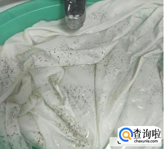 怎么预防物品发霉?