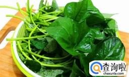 红薯叶吃多了会怎么样