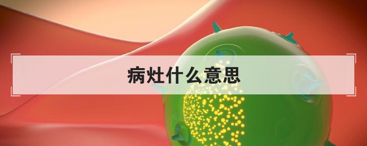 病灶什么意思