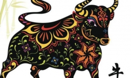 属牛的和什么属相最配