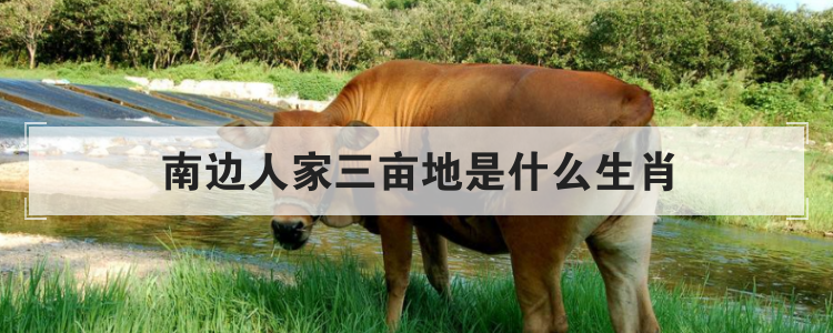 南边人家三亩地是什么生肖