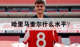 哈里马奎尔什么水平？