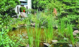 榆树镇属于哪个省？