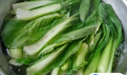 肉末烧油菜怎么做