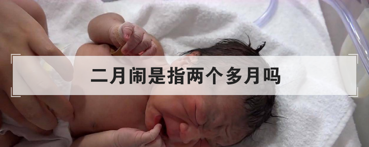 二月闹是指两个多月吗