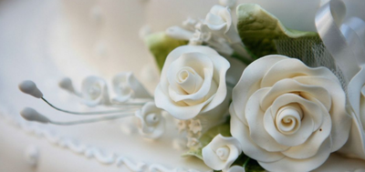 白玫瑰代表什么