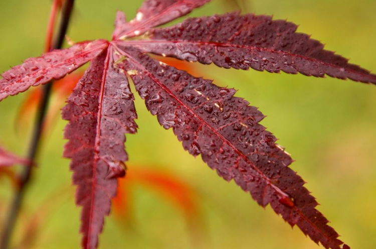 为什么立秋了还那么热