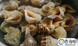 蒸海螺有股臭味正常吗