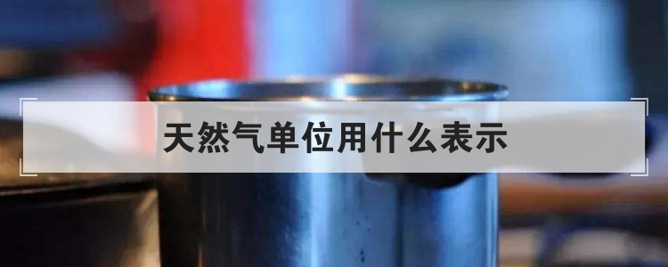 天然气单位用什么表示